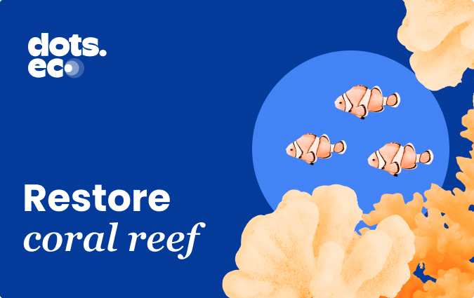 Restore coral reef